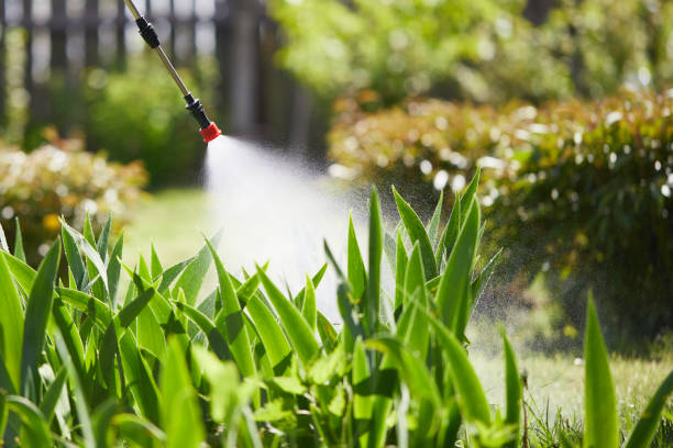 24/7 Emergency Mosquito Control experts in West End-Cobb Town, AL